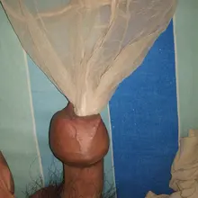 鸡巴吃丝袜