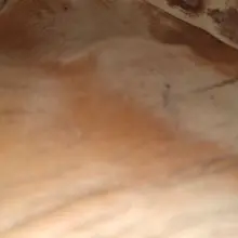 这骚鞋绝了，趁着扔之前插一波 多年的精华全在鞋里了我靠，鸡巴插入好好的接触一阵。注入一股灵魂才行