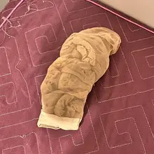 原味口交！