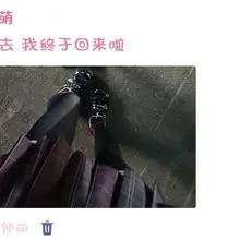 我去我去 我终于回来啦！！！